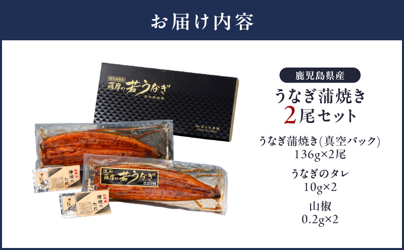 1654-1 鹿児島県産 うなぎ蒲焼き2尾セット　KN058-002-02