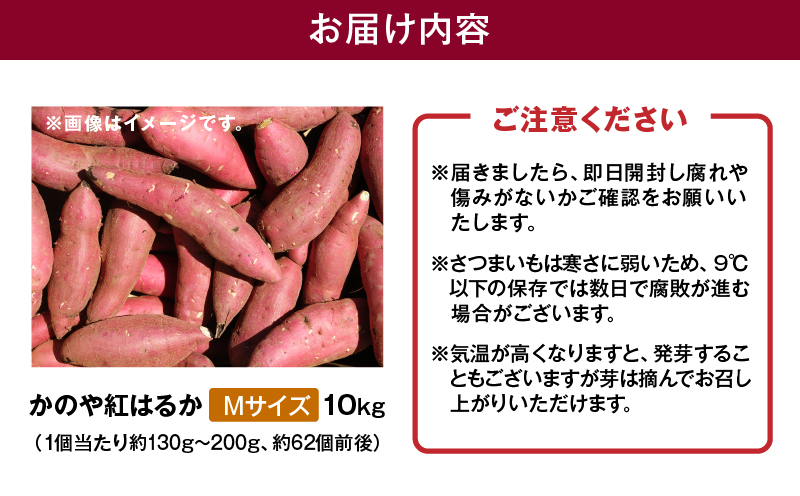 1674 かのや紅はるか 生芋Mサイズ 10kg　KN011-002-02