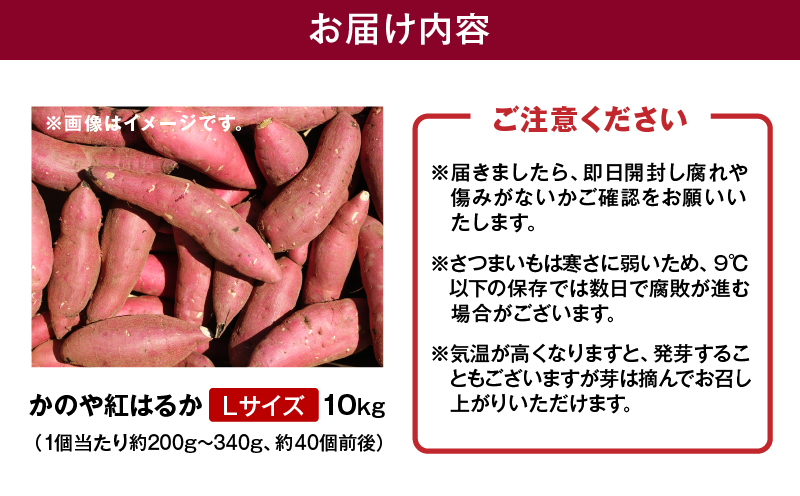 1676 かのや紅はるか 生芋Lサイズ 10kg　KN011-003-02