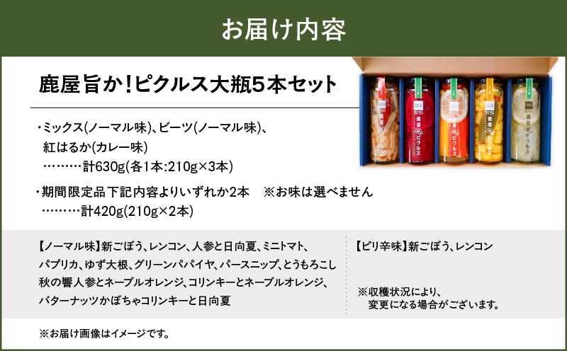 1740-2 鹿屋旨か！ピクルス大瓶5本セット　KN072-001-01
