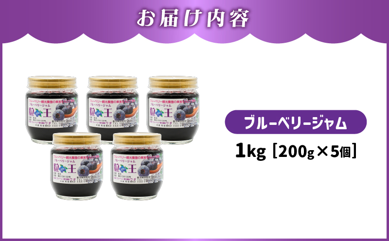 1903-1 粒王ブルーベリージャム200g×5個　KN030-003