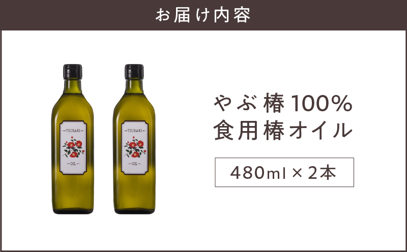 1917 やぶ椿100％ 食用椿オイル480ml 2本セット　KN080-001-01