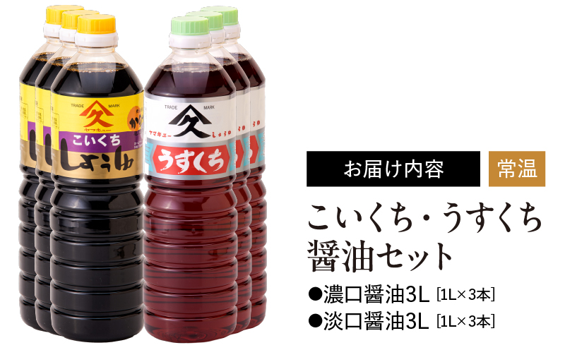 1994 こいくち・うすくち醤油セット　KN016-004