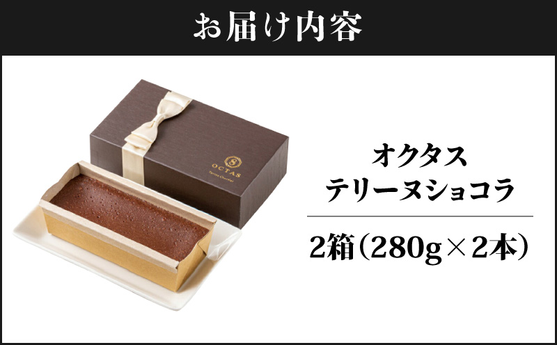2027 オクタス テリーヌショコラ 2箱（280g×2本）　KN021-026-02