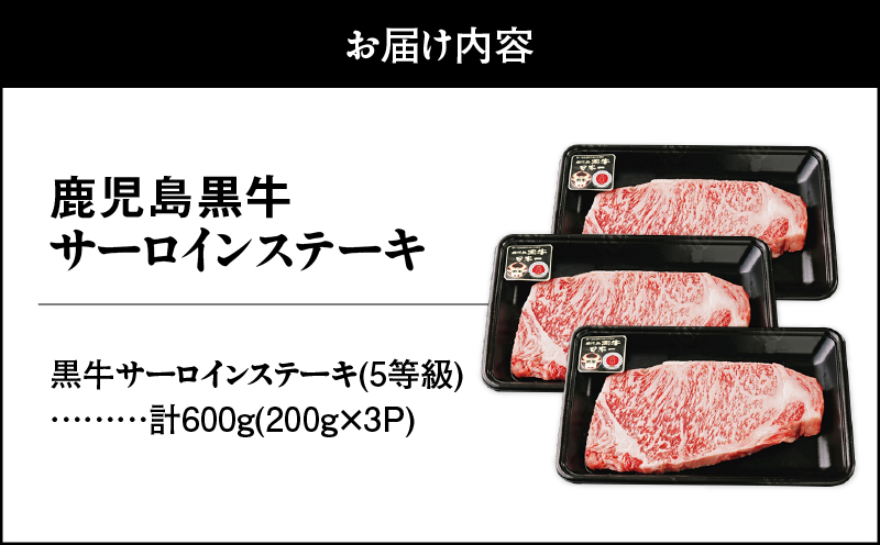 21-1 （A-101）鹿児島黒牛サーロインステーキ（200g×3枚）　KN009-001