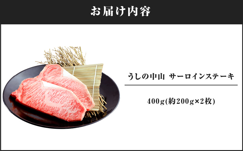 2106 うしの中山 サーロイン ステーキ 400g　KN050-005
