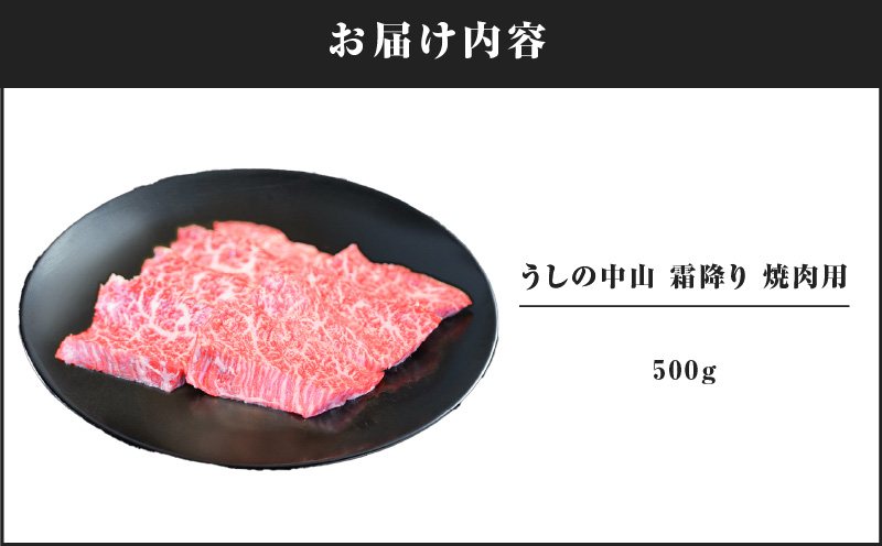 2109-1 うしの中山 霜降り 焼肉用 500g　KN050-037