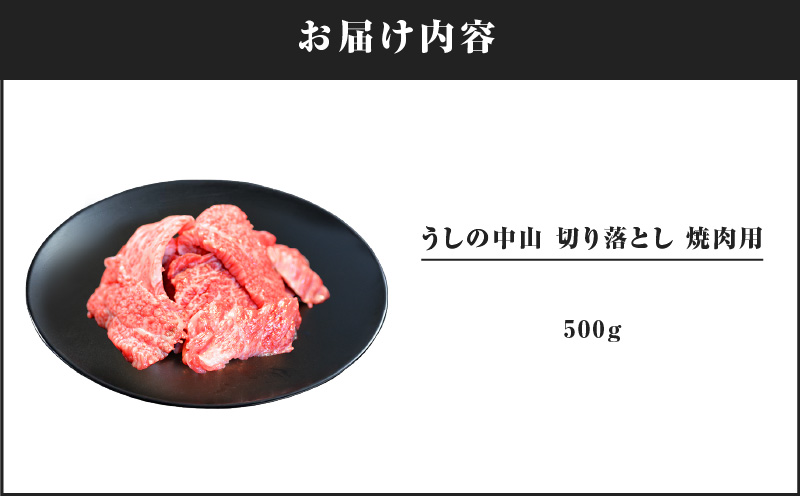 2111 うしの中山 切り落とし 焼肉用 500g　KN050-004