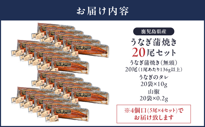 2122 鹿児島県産 うなぎ蒲焼 20尾　KN058-002-20
