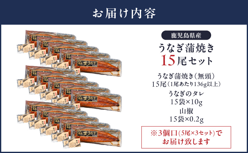 2123 鹿児島県産 うなぎ蒲焼 15尾　KN058-002-15