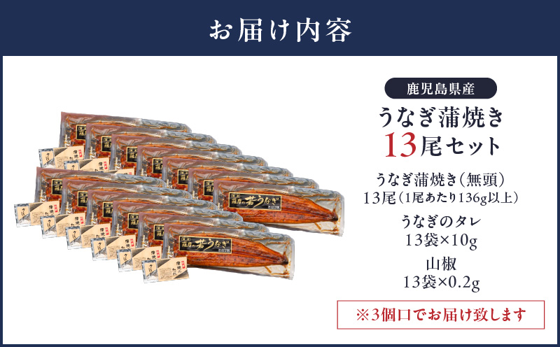 2124 鹿児島県産 うなぎ蒲焼 13尾　KN058-002-13