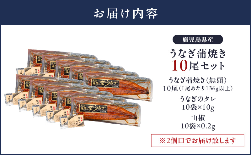 2125 鹿児島県産 うなぎ蒲焼き 10尾　KN058-002-10