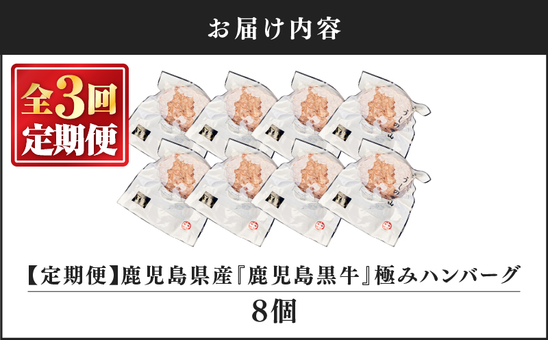 2231 【定期3回】ハンバーグ（8個）【うしの中山】　KN050-T01