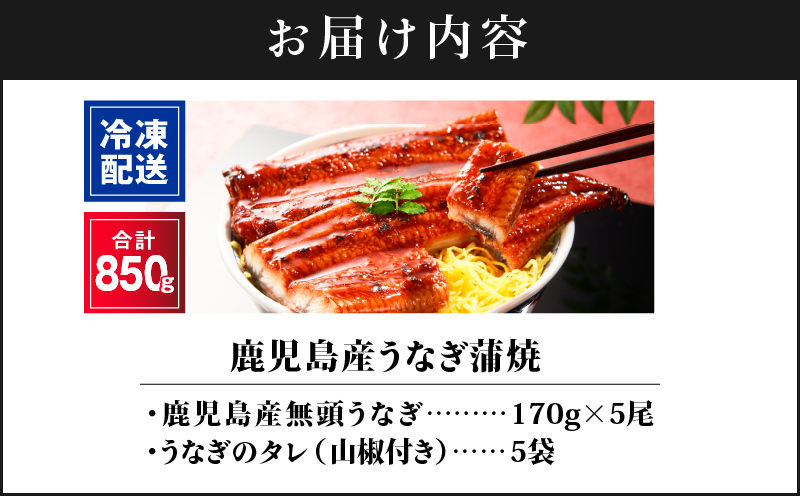 2445 鹿児島産うなぎ 合計850g（170g×5尾）　KN021-014-05
