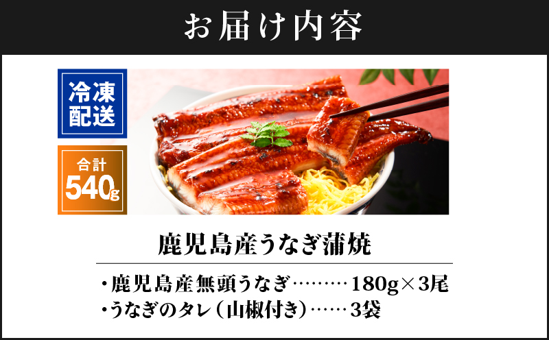 2446 鹿児島産うなぎ 合計540g（180g×3尾）　KN021-015-03