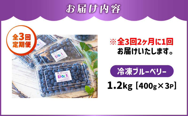 2467-1 【全3回定期便】（2ヶ月に1回お届け）粒王 ブルーベリー 1.2kg（400g×3P）　KN030-T01