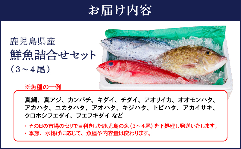 2530 鹿児島県産鮮魚詰合せセット（3～4尾）　KN025-004-01