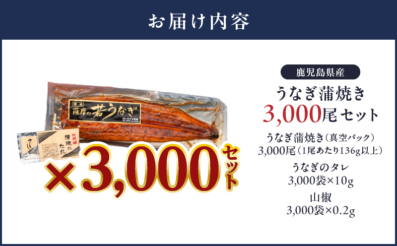 2626 どうぞ、召し上がれ！うなぎ養殖量日本一からの挑戦状！【うなぎ蒲焼き3000尾】　KN058-002-3000