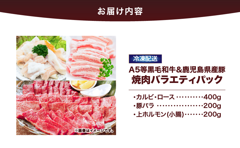 2633 A5等級黒毛和牛＆鹿児島県産豚焼肉バラエティパック 800g　KN101-011