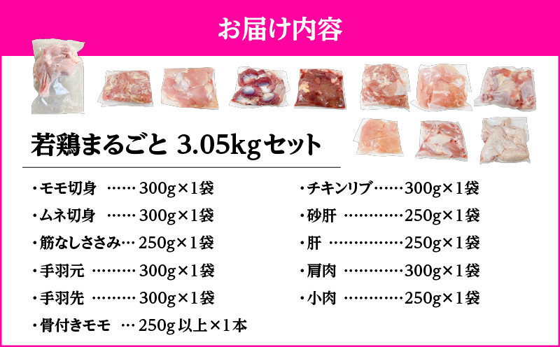 2649 若鶏まるごと3.05kgセット　KN105-006