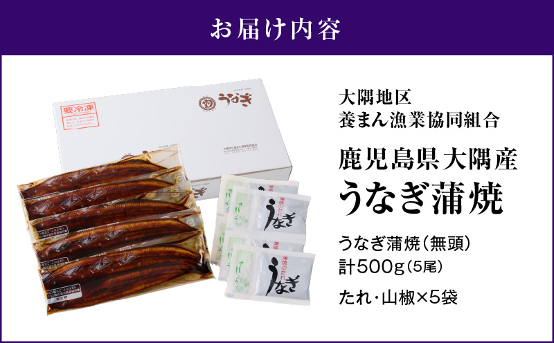 4001 鹿児島県大隅産うなぎ蒲焼5尾（500g）　KN007-005-03