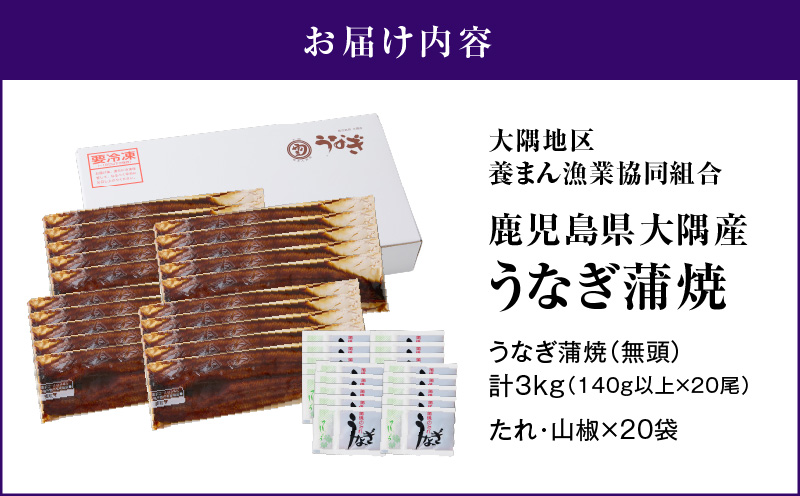 727-1 鹿児島県大隅産うなぎ蒲焼20尾（3kg）　KN007-020