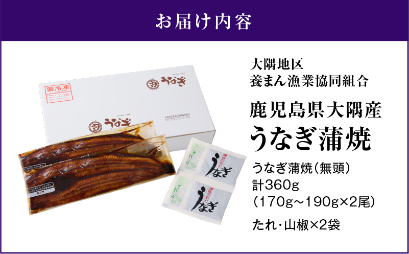 【数量限定】鹿児島県大隅産うなぎ蒲焼2尾（360g）　KN007-002-04-cp