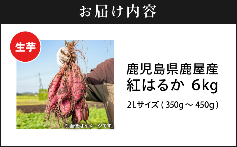 鹿児島県鹿屋産 紅はるか 生芋 2Lサイズ 6kg　KN021-043-02