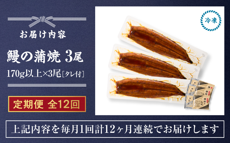 クラウドファンディングで応援！【全12回定期便】鰻の蒲焼 3尾（170g×3）　KN026-T07