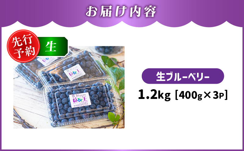 【先行予約】1217-1 粒王 生ブルーベリー 1.2kg（400g×3P）　KN030-002-01