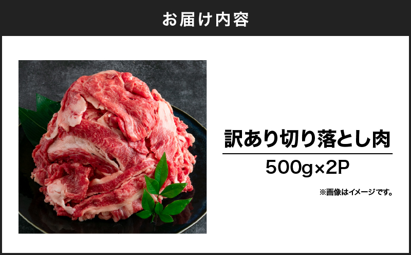 【訳あり】鹿児島県産 黒毛和牛 切り落とし肉 1kg（500g×2P）　KN050-042