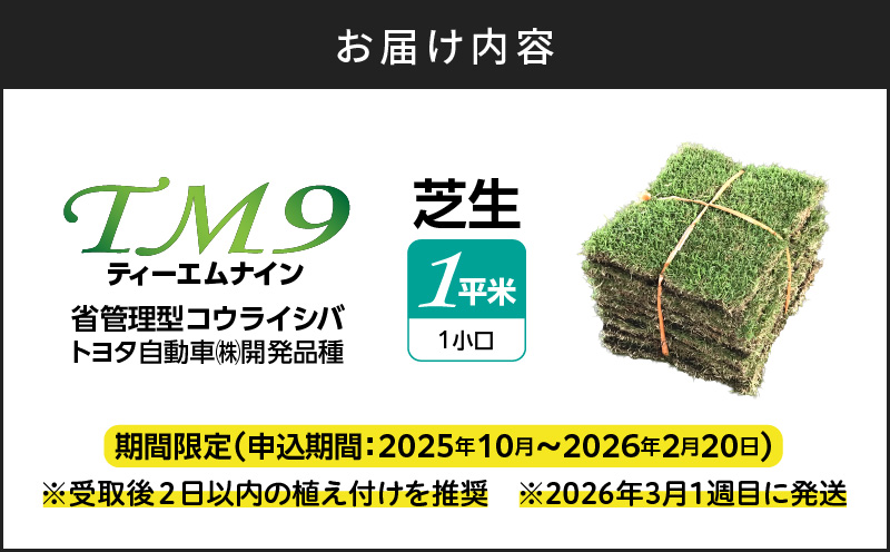 TM9（ティーエムナイン）省管理型コウライシバ トヨタ自動車(株)開発品種 1平米　KN080-007-01