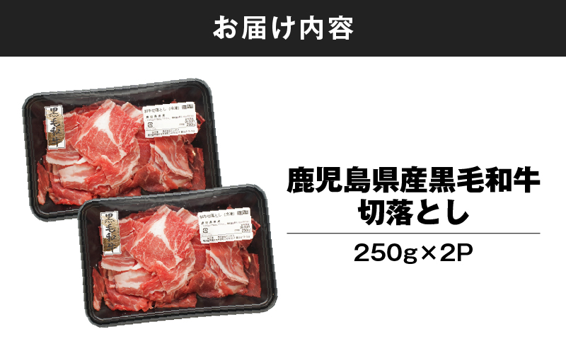 鹿児島県産 黒毛和牛 切り落し 計500g　KN102-006-01