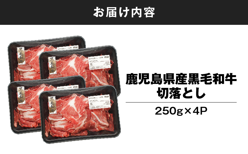 鹿児島県産 黒毛和牛 切り落し 計1kg　KN102-006-02