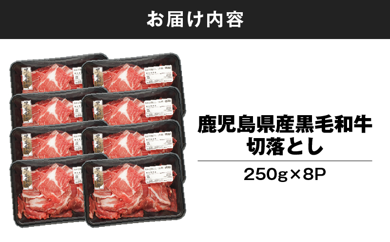 鹿児島県産 黒毛和牛 切り落し 計2kg　KN102-006-03