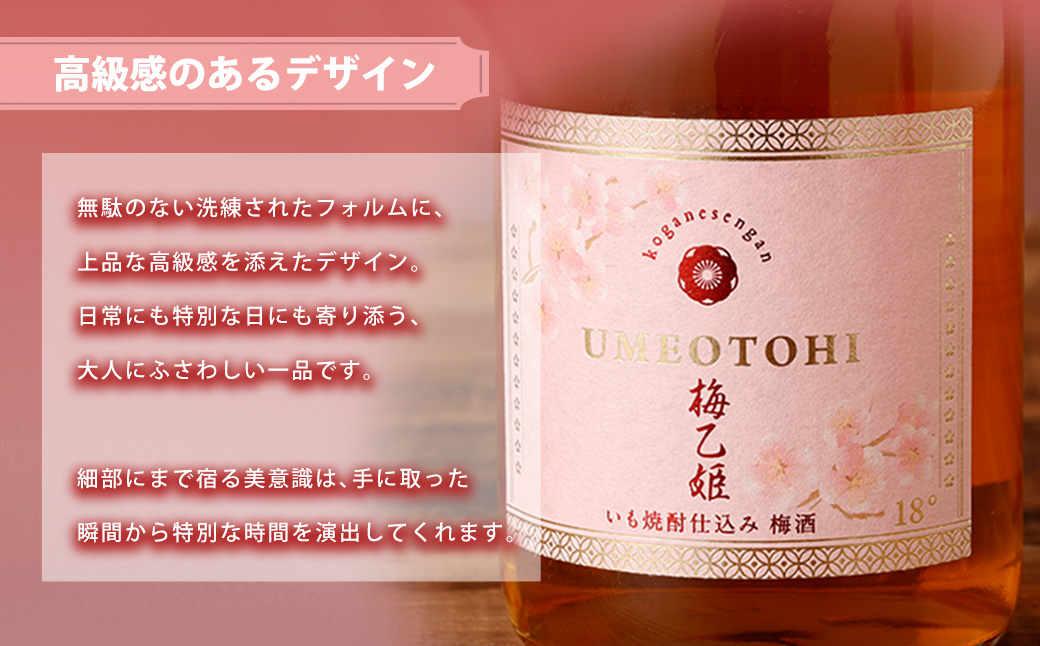 うまかぞー九州 本格梅酒 梅乙姫 720ml 梅酒　KN163-002