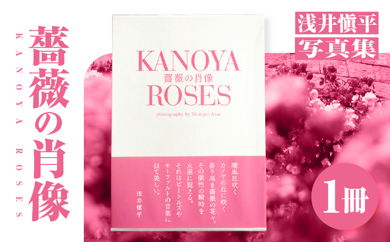 1031 浅井愼平写真集 薔薇の肖像 KANOYA ROSES　KN002-001