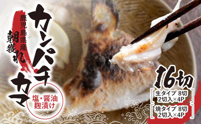 1033 カンパチカマ塩・醤油麹（こうじ）漬け16切　KN037-001-03