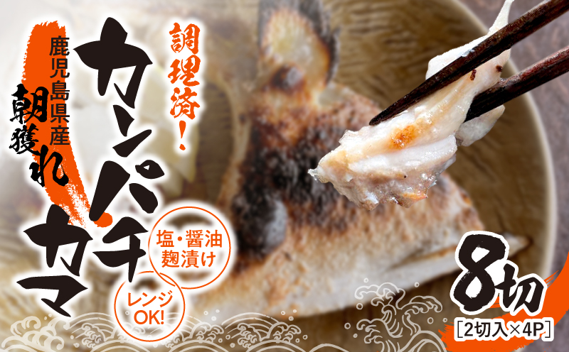1276 調理済み！カンパチカマ塩・醤油麹（こうじ）漬け8切（焼タイプ）　KN037-002-01