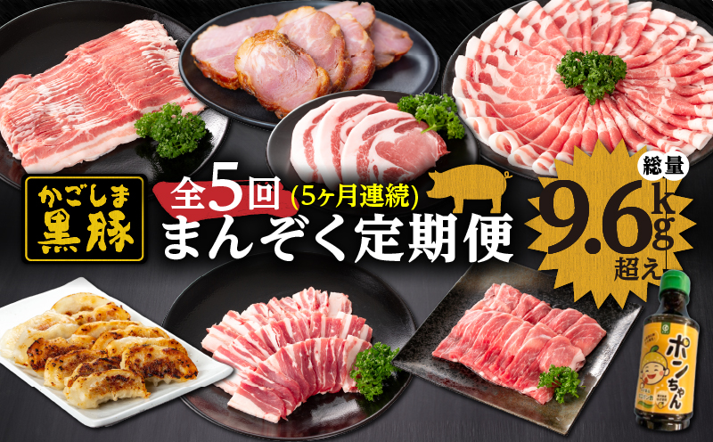 1283-2 鹿児島黒豚まんぞく定期【全5回】　KN038-T01