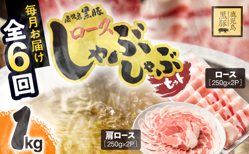 1380-2 【6ヶ月定期便】鹿児島県産黒豚ロースしゃぶしゃぶセット（ロース・肩ロース）　KN054-T02