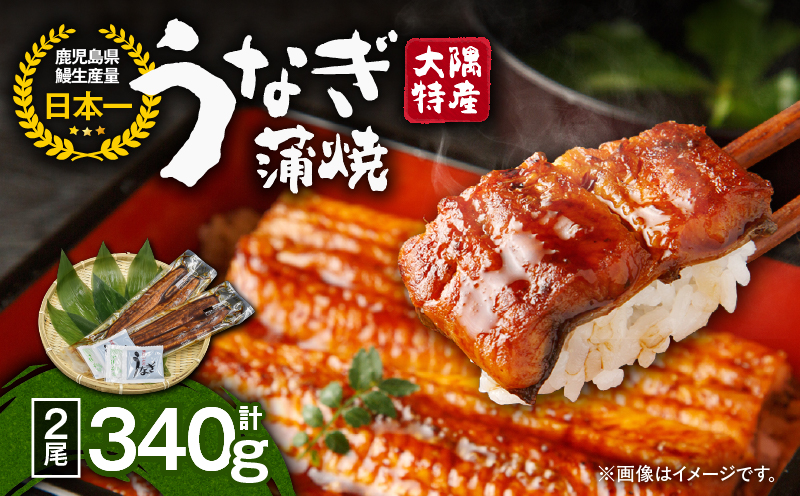 1386 大隅特産うなぎ蒲焼2尾（340g）　KN060-001-01