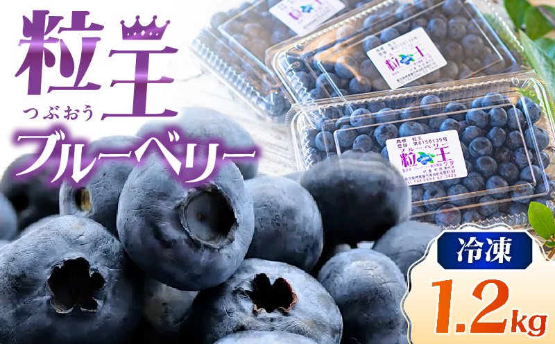 141-3 粒王 冷凍ブルーベリー1.2kg（400g×3P）　KN030-002