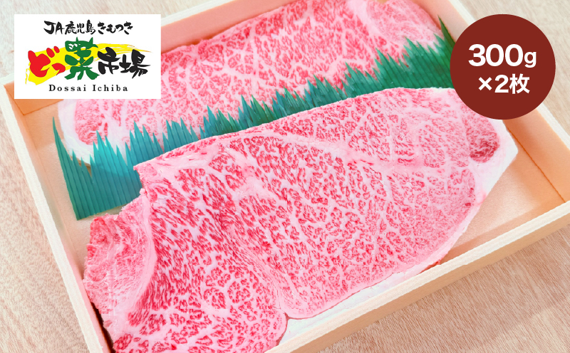 1552-1 A5ランク鹿児島産黒毛和牛サーロインステーキ 木箱入り 600g 300g×2枚　KN010-001-02