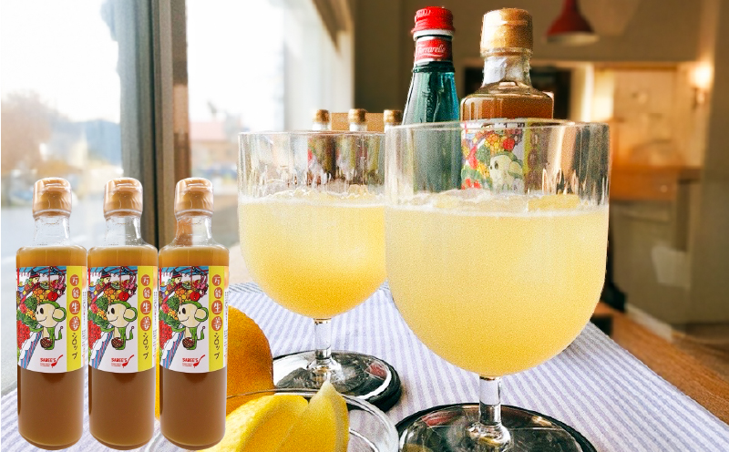 1623 【鹿屋産有機生姜使用】万能生姜シロップ3本　KN046-001-02