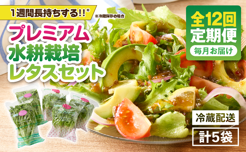 1628-2 【全12回定期便】洗わずに食べられる プレミアム水耕栽培レタスセット（計5袋）　KN064-T03