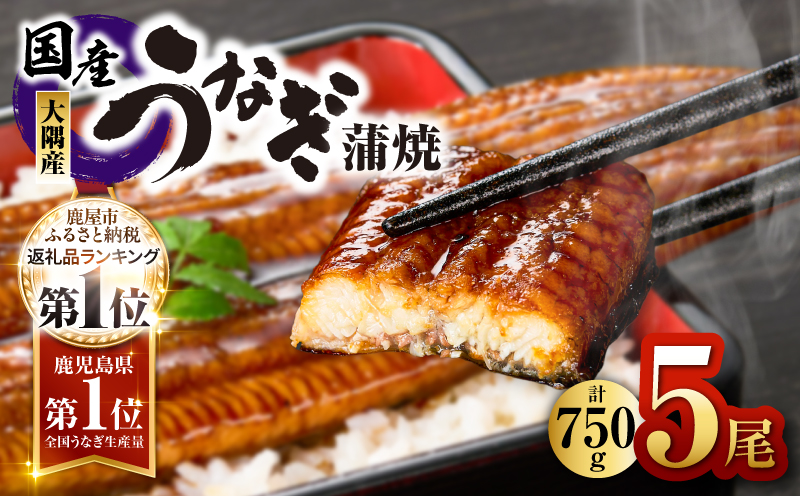 1633 鹿児島県大隅産うなぎ蒲焼5尾（750g）　KN007-005-01