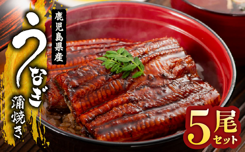 1651-1 鹿児島県産 うなぎ蒲焼き 5尾セット　KN058-002-05