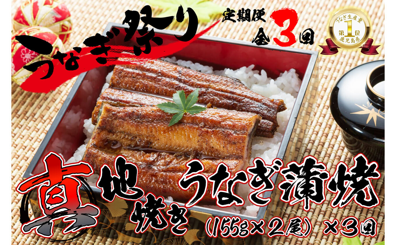 1722-2 【定期（全3回）】大人気！鯉家の絶品蒲焼「真地焼きうなぎ（2尾）」【国産・手焼き備長炭】　KN040-T03