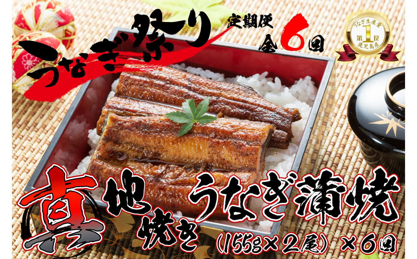 1723-2 【定期（全6回）】大人気！鯉家の絶品蒲焼「真地焼きうなぎ（2尾）」【国産・手焼き備長炭】　KN040-T04